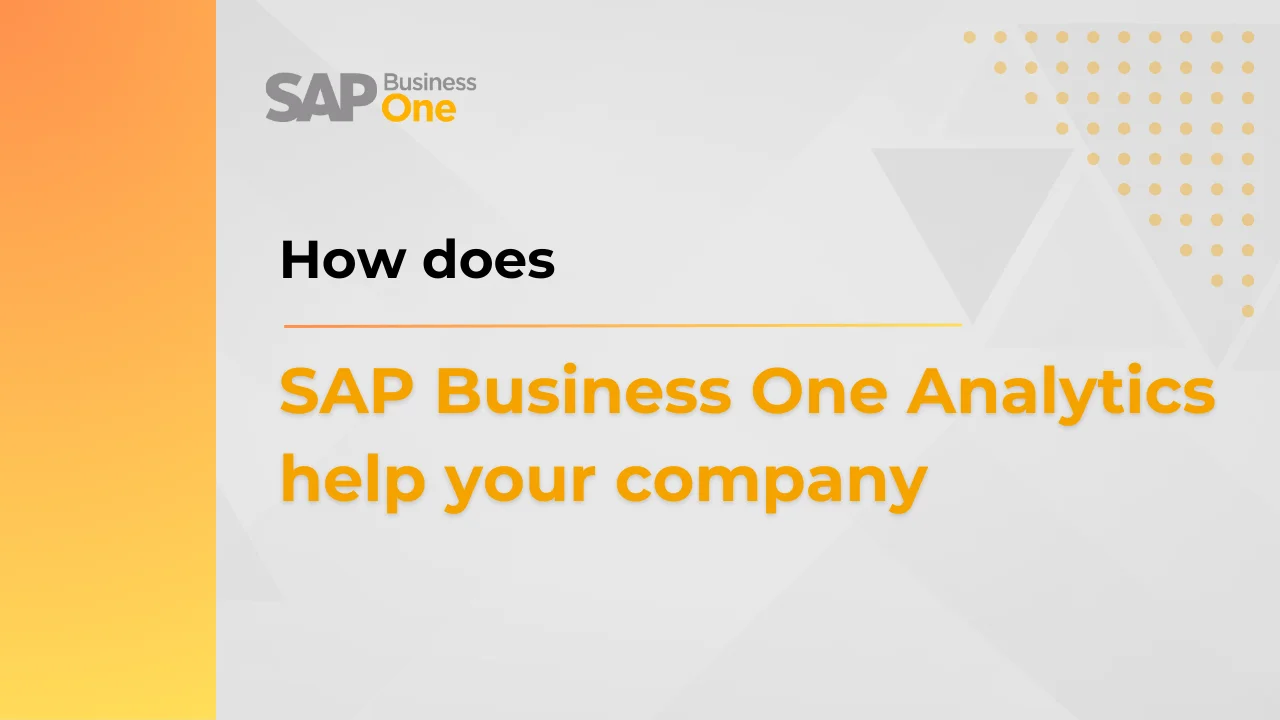 SAP Business One Analytics help company
